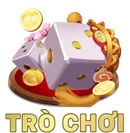 Biểu tượng cán bộ bảo vệ dữ liệu